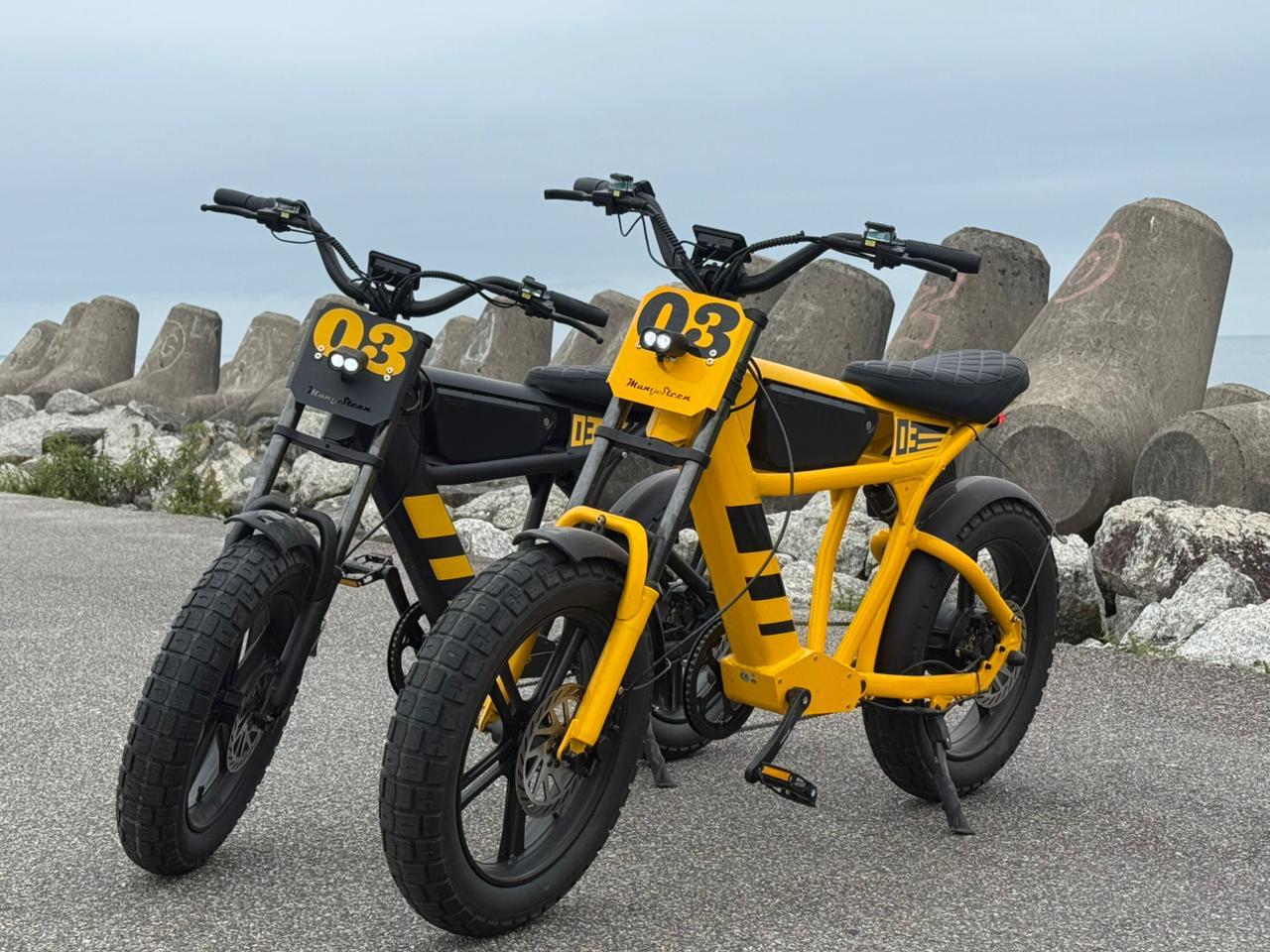 E-bikes elétricas importadas por Gustavo de Los Santos — modelos fat tire disponíveis